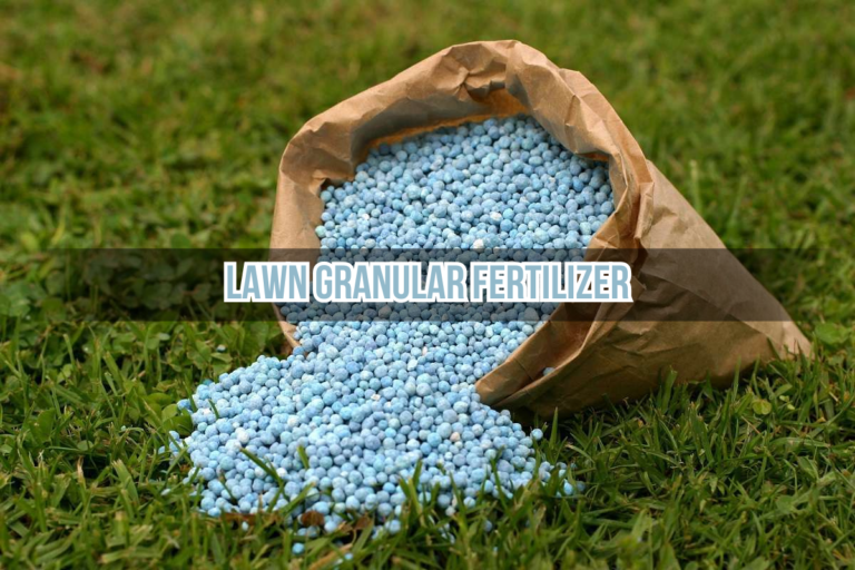 Lawn Granular Fertilizer Tips for Thick Green and Healthy Grass poem morgan harper Nichols