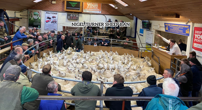 Nigel Turner Sheep Ban Animal Welfare Case Background and Personal Details beccles museum